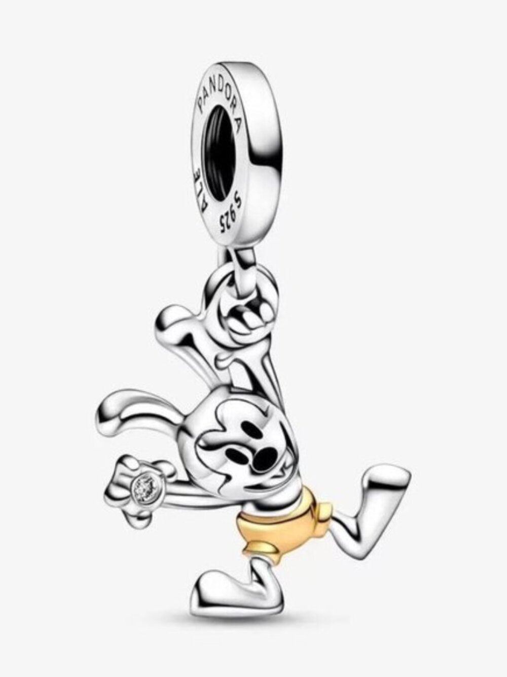 Pandora Charms